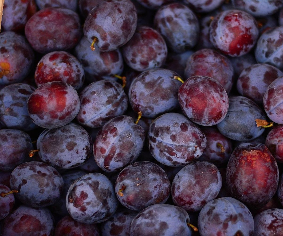 Canasta de frutas frescas recién llegadas